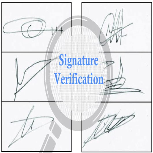 ballot signature verification
